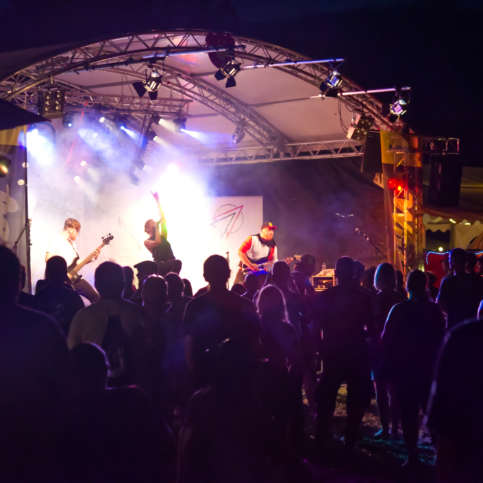 Techniker für Wutzdog